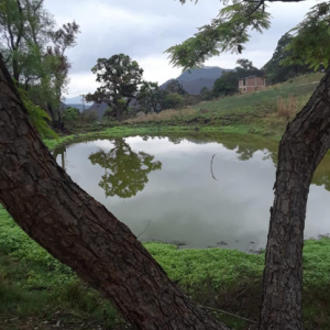 Venta de terreno, en San Matías salida a l norte 