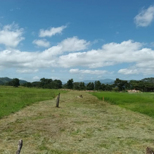 Venta de terreno en Parque Residencial El Carretero en Talanga