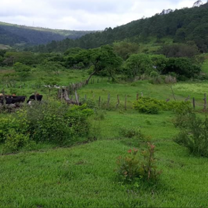 Venta de terreno, en San Matías salida a l norte 