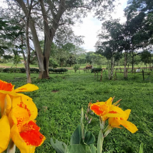 Venta de terreno en Parque Residencial El Carretero en Talanga 