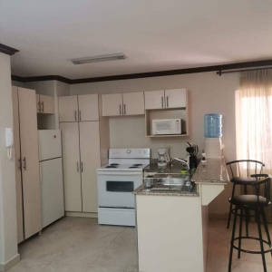 Renta Apartamento Amueblado