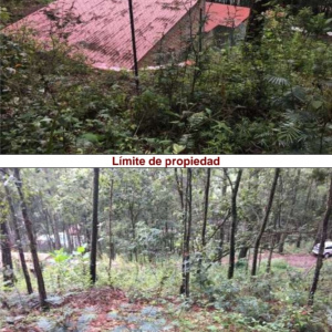 Venta de hermoso terreno en santa lucia en la zopilotera