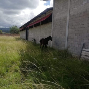 Terreno en Venta